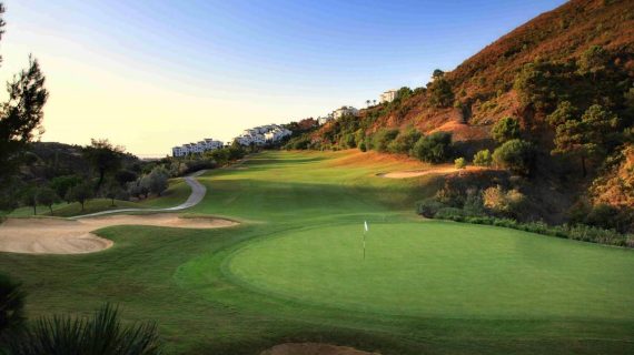 tag gisgolf656